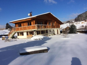 Gîte confortable à Gérardmer avec jardin, ski, randonnées et activités nautiques - FR-1-589-128
